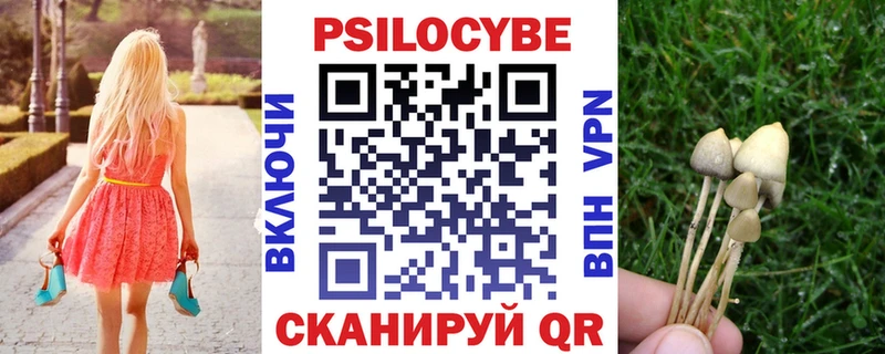 где найти наркотики  Белинский  Псилоцибиновые грибы Magic Shrooms 